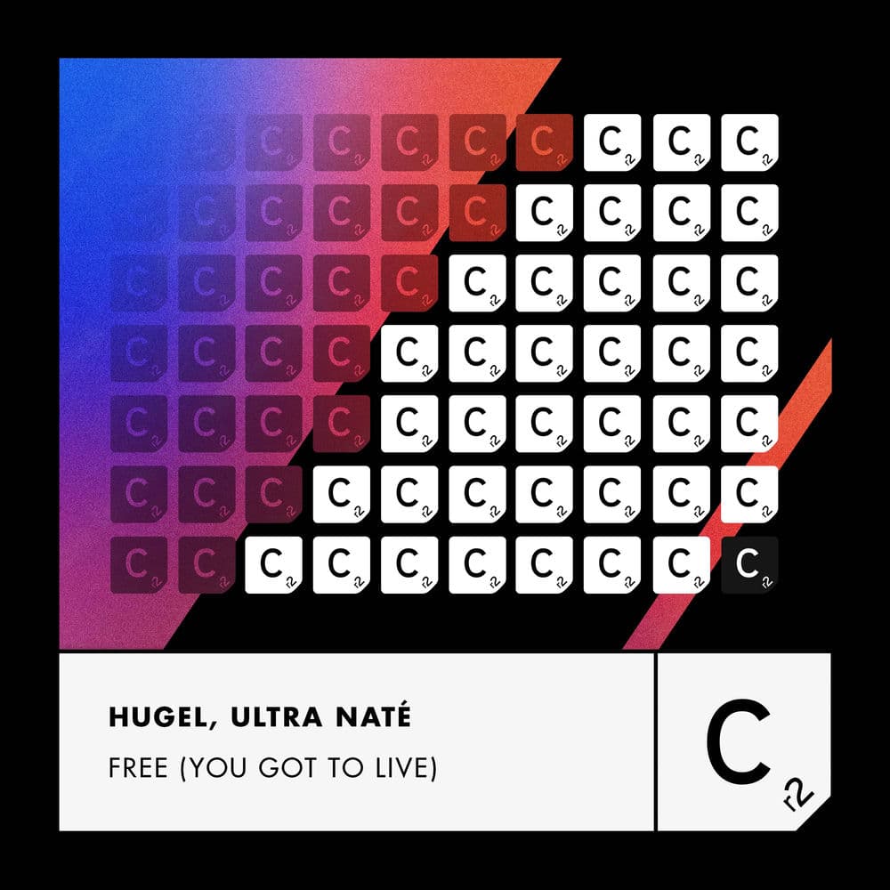Free (You Got To Live) cover