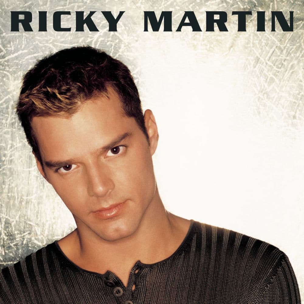 Livin' la Vida Loca cover